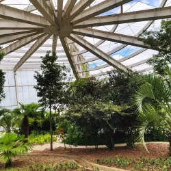 Parque Natural Municipal das Araucárias - Canoinhas