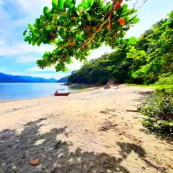 Ilha do Tamanduá - Caraguatatuba