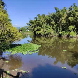 Parque da Cidade - Caraguatatuba