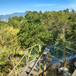 Parque da Cidade - Caraguatatuba