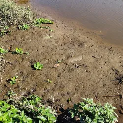 Parque da Cidade - Caraguatatuba