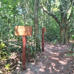 Parque da Cidade - Caraguatatuba