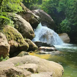 Parque Estadual da Serra do Mar - Núcleo Caraguatatuba - Caraguatatuba
