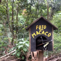 Parque Estadual da Serra do Mar - Núcleo Caraguatatuba - Caraguatatuba
