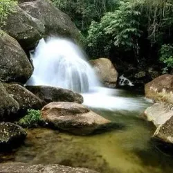 Parque Estadual da Serra do Mar - Núcleo Caraguatatuba - Caraguatatuba