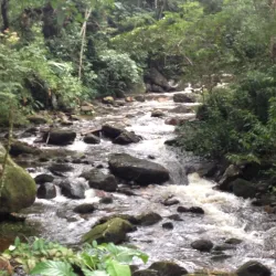 Parque Estadual da Serra do Mar - Núcleo Caraguatatuba - Caraguatatuba