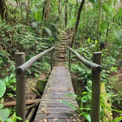Parque Estadual da Serra do Mar - Núcleo Caraguatatuba - Caraguatatuba