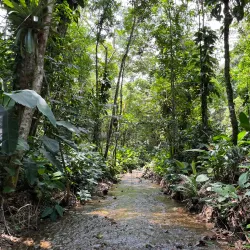 Parque Estadual da Serra do Mar - Núcleo Caraguatatuba - Caraguatatuba
