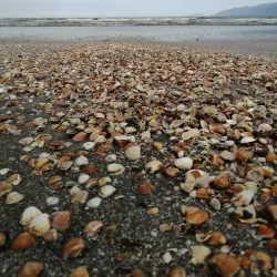 Praia do Indaiá - Caraguatatuba