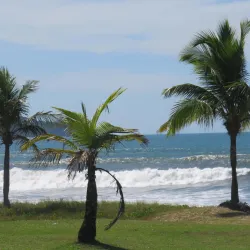 Praia do Massaguaçu - Caraguatatuba