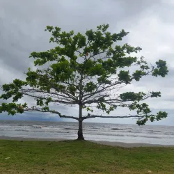 Praia do Porto Novo - Caraguatatuba