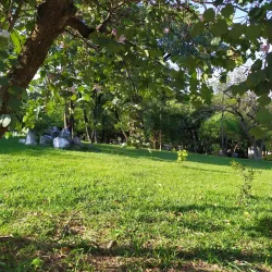 Parque dos Paturis - Carapicuiba (Carapicuíba)