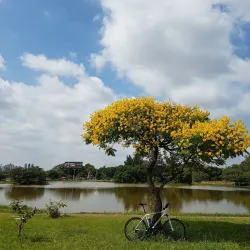 Parque dos Paturis - Carapicuiba (Carapicuíba)