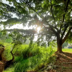 Parque dos Paturis - Carapicuiba (Carapicuíba)