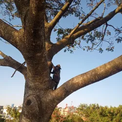 Parque Gabriel Chucre - Carapicuiba (Carapicuíba)
