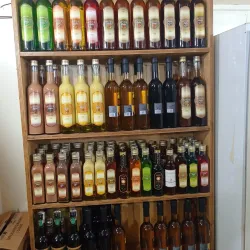 Centro de Artesanato de Pernambuco - Caruaru