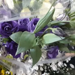 Parque 18 de Maio - Caruaru