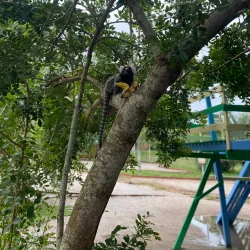 Parque Natural Municipal Severino Montenegro - Caruaru