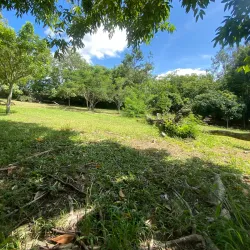 Parque Natural Municipal Severino Montenegro - Caruaru