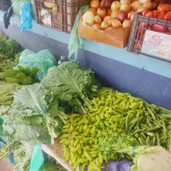 Feira de Castanhal - Castanhal
