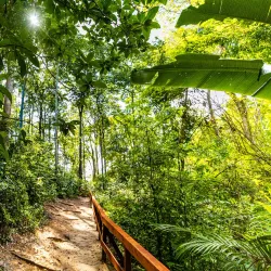 Parque Ambiental de Castanhal - Castanhal