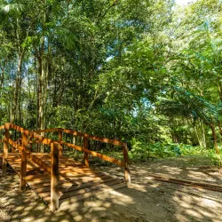 Parque Ambiental de Castanhal - Castanhal