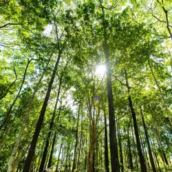 Parque Ambiental de Castanhal - Castanhal