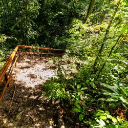 Parque Ambiental de Castanhal - Castanhal