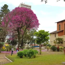 Catedral Santo Antônio - Catanduva