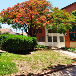 Catedral Santo Antônio - Catanduva