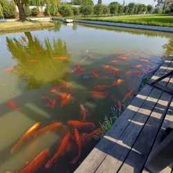 Parque do Bicentenário - Catanduva
