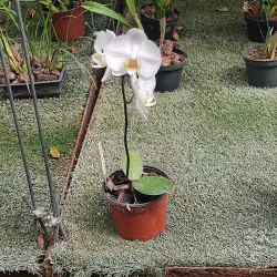 Parque do Bicentenário - Catanduva