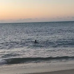 Icaraí Beach - Caucaia