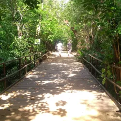 Parque Estadual do Cocó - Caucaia