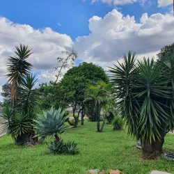 Biblioteca Pública de Ceilândia - Ceilândia
