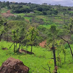 Parque Ecológico de Ceilândia - Ceilândia