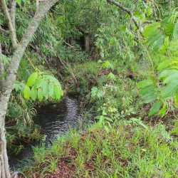 Parque Ecológico de Ceilândia - Ceilândia