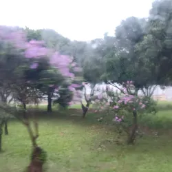 Parque Ecológico de Ceilândia - Ceilândia