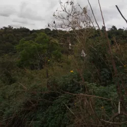 Parque Ecológico de Ceilândia - Ceilândia