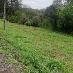 Parque das Palmeiras - Chapeco