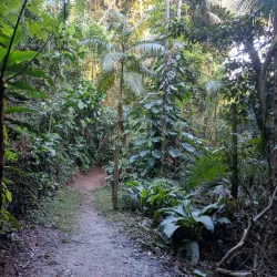 Parque Natural Municipal São Francisco de Assis - Chapeco