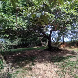 Cachoeira do Rio Verde - Colíder
