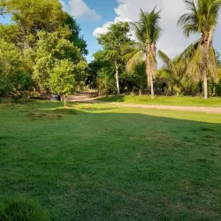 Fazenda São José - Colíder