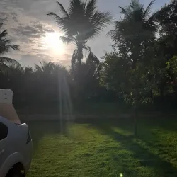 Fazenda São José - Colíder