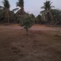 Fazenda São José - Colíder