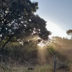 Fazenda São José - Colíder