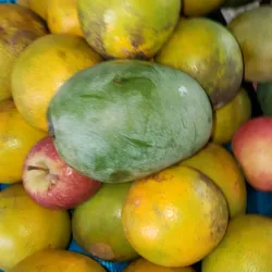 Feira Livre de Colíder - Colíder