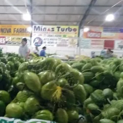 Feira Livre de Colíder - Colíder