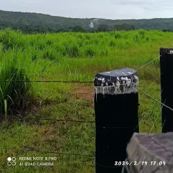 Trilha Ecológica de Colíder - Colíder