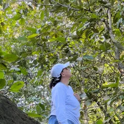 Trilha Ecológica de Colíder - Colíder